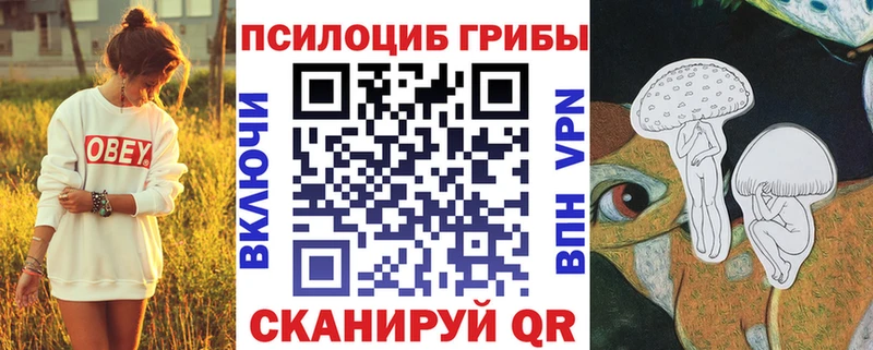 закладки  Торопец  Псилоцибиновые грибы Magic Shrooms 